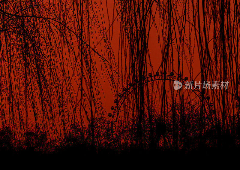 夕阳穿过美丽的植物。摩天轮的背景