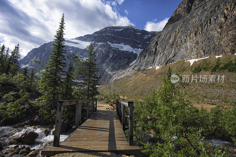 夏天的伊迪丝卡维尔山，贾斯珀国家公园，AB，加拿大