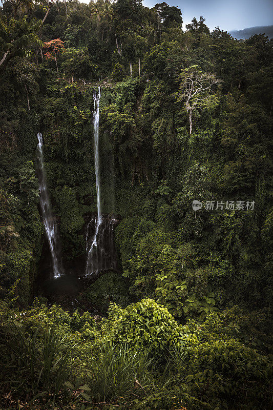 峡谷瀑布Sekumpul与岩石拱顶覆盖着繁茂的树叶植物在巴厘岛的热带森林