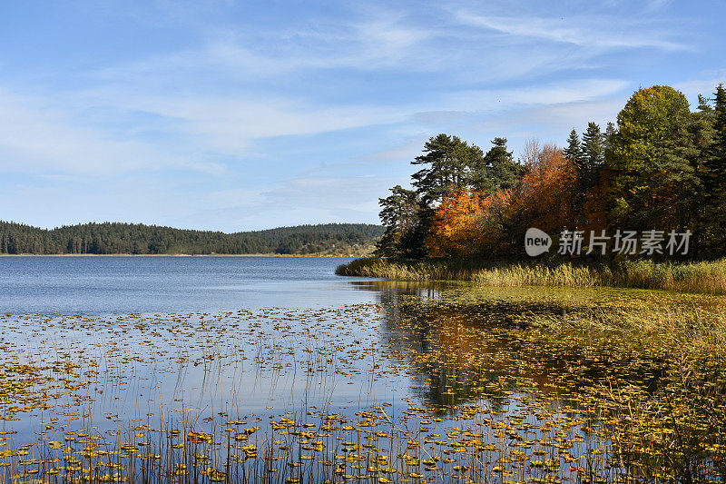 湖泊，森林和天空背景。湖岸