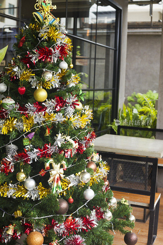曼谷公寓外的圣诞树