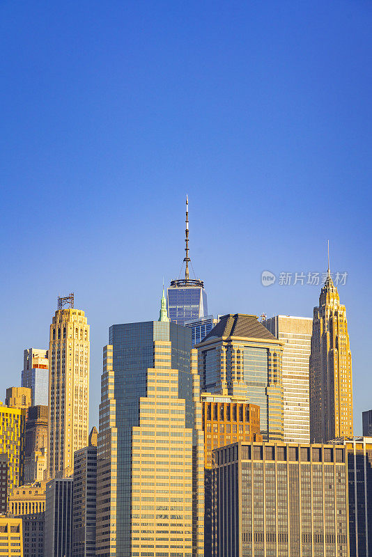 早上从布鲁克林俯瞰世界贸易中心一号大楼、曼哈顿市中心和摩天大楼。