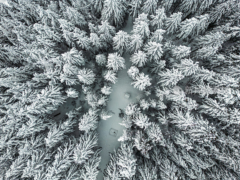 俯视图的小木屋位于冬季森林，白雪覆盖的松树林