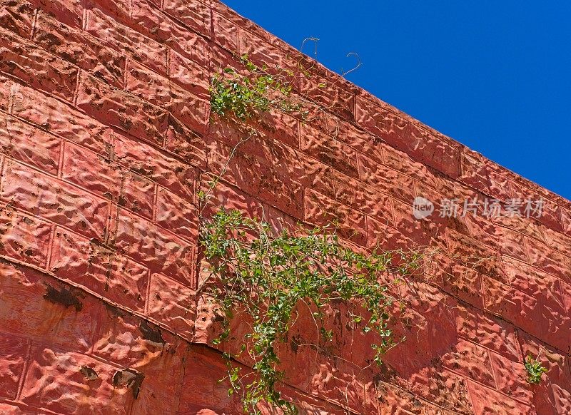 新墨西哥州兰彻斯德陶斯，一个谷仓上的红色锡壁板摇摇欲坠