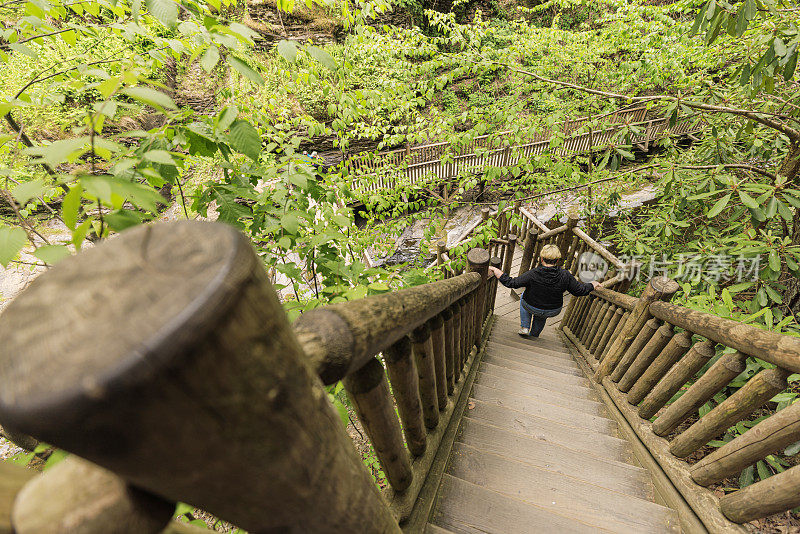 跟随游客走过宾夕法尼亚州波科诺斯山脉的木制楼梯。通往宾夕法尼亚州布什基尔瀑布的高架小径