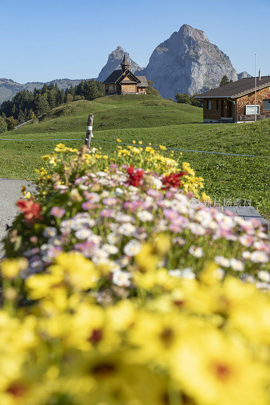 瑞士施维茨斯图斯高山村庄的花坛