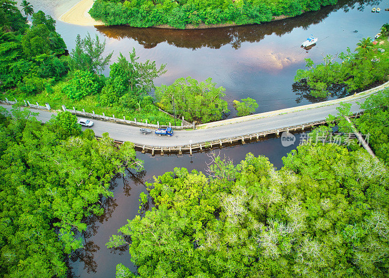 无人机拍摄的公共道路在劳奈港海岸湿地和红树林之间穿梭