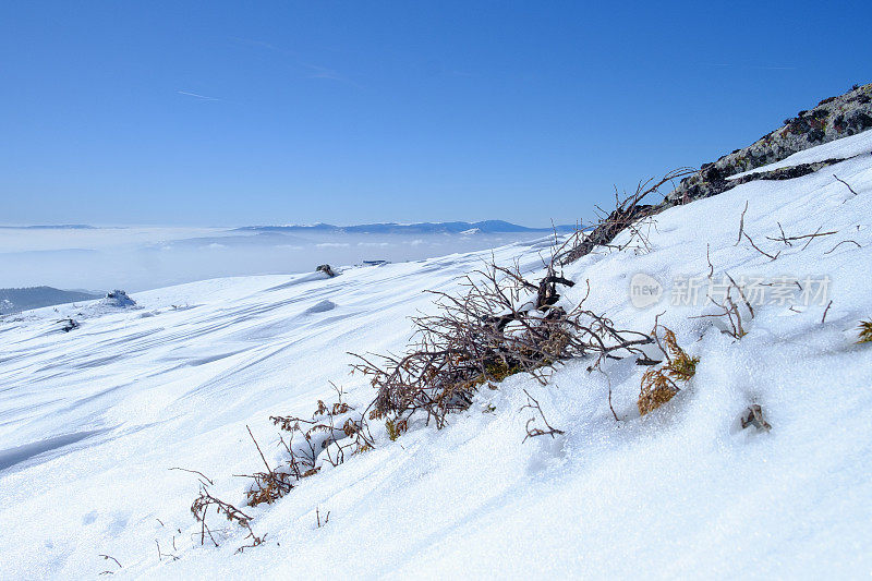 干燥的灌木丛上的雪覆盖的土地在蓝天下的山