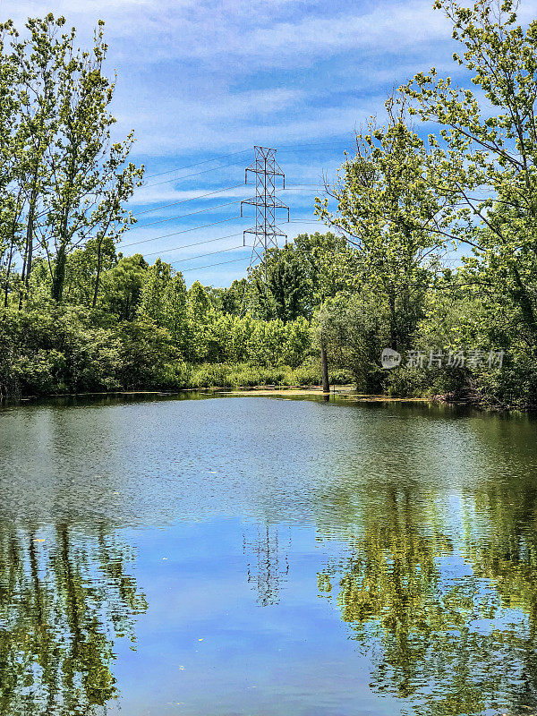 一条被树木、蓝天和湖泊环绕的电线