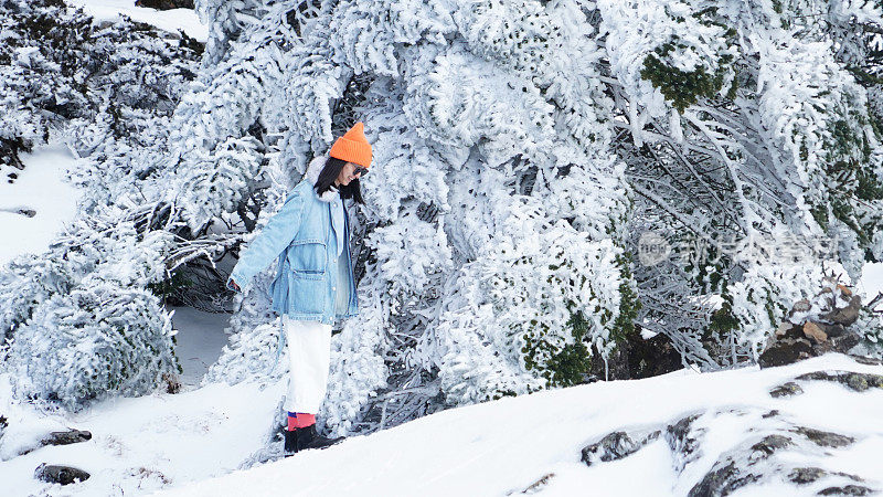 一个女人在寒冷的天气里穿行于白雪覆盖的山林之中