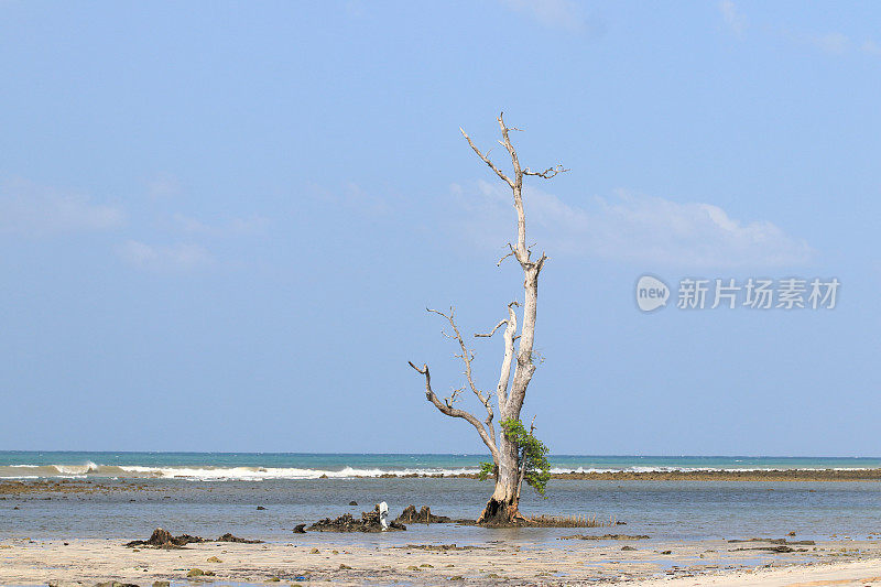 亚齐美丽海滩的全景