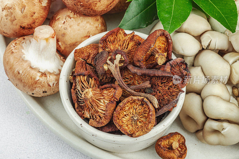 各式各样的蘑菇——新鲜的、干的和腌制的。牡蛎，奶油，牛肝菌和香菇