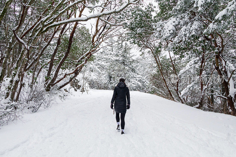 在南温哥华岛享受一个下雪天