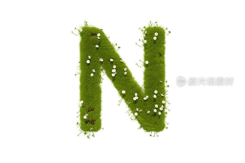 字母N，草和花大写