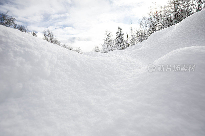 冬天，厚厚的积雪覆盖荒野