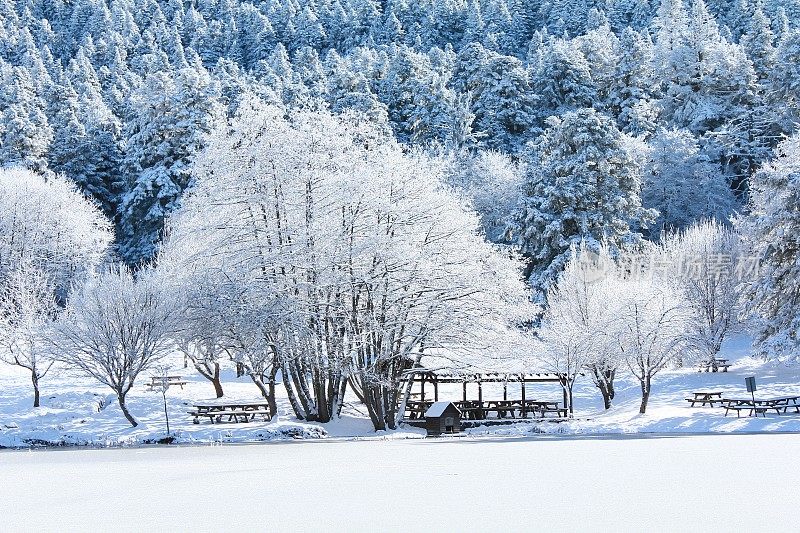 Golcuk自然公园冰冻的Golcuk湖周围的雪松和森林