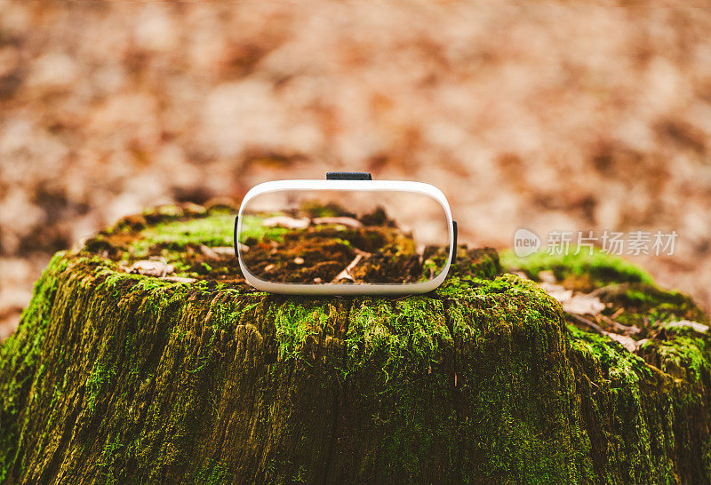 树桩上的虚拟现实眼镜