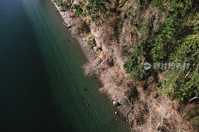 普吉特海湾海岸线