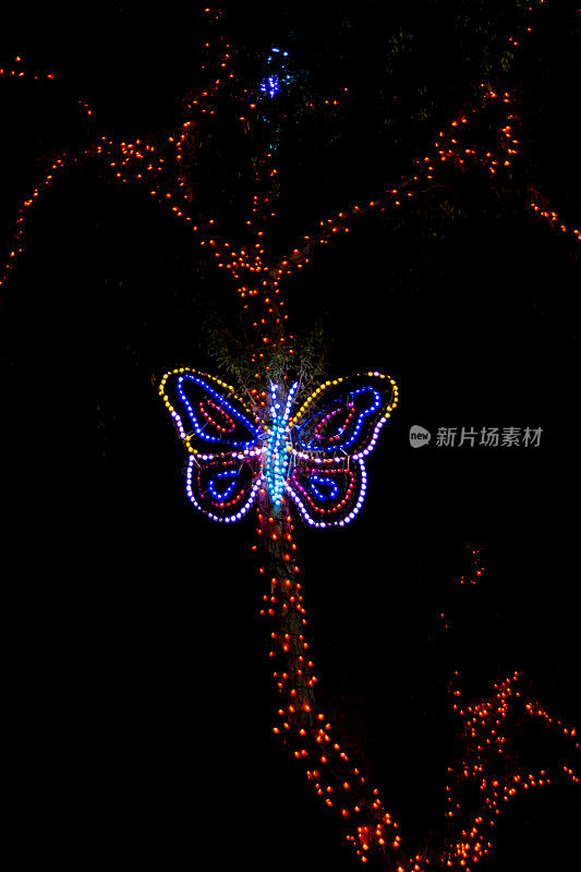 在一个黑色的背景上使用离散的灯光对着一棵树的蝴蝶的装饰颜色轮廓