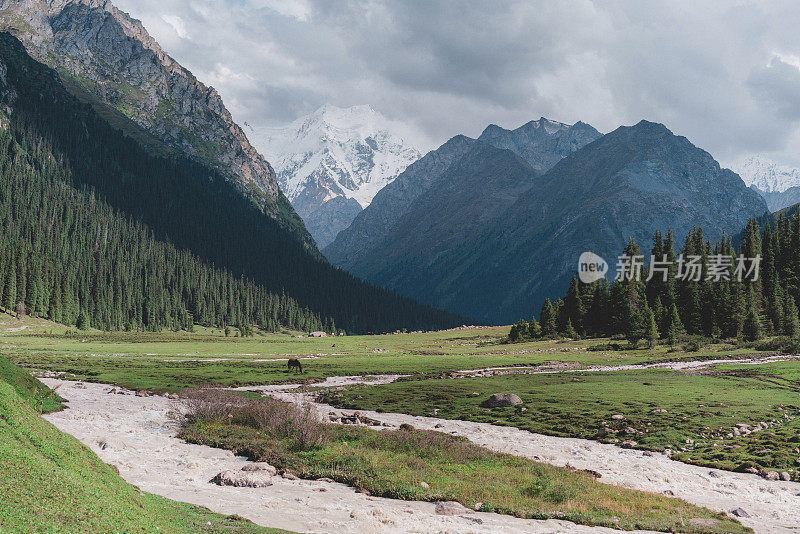 吉尔吉斯斯坦天山夏季河流的风景