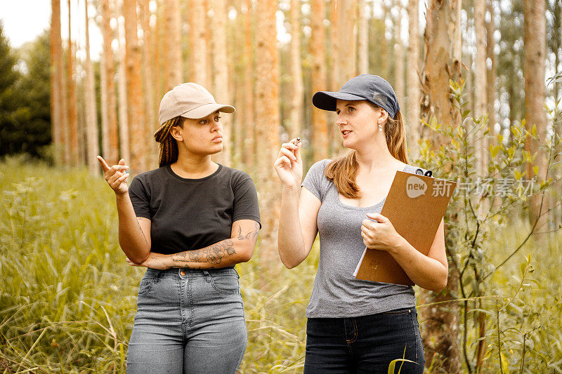 两个农艺区的女人在桉树种植园里散步