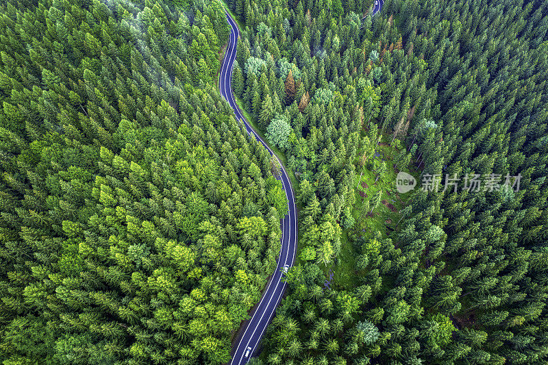 鸟瞰绿色森林中的山路