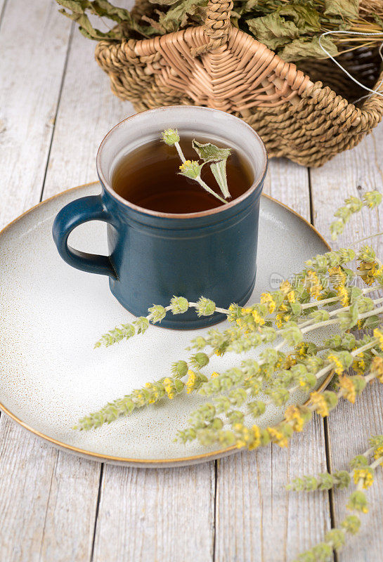 山铁茶-希腊山茶