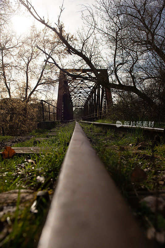 铁路桥上废弃的植被