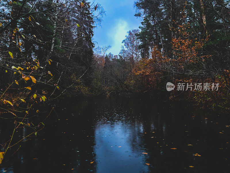 在冬天的夜晚，在潮湿的天气里，森林中央的一个小湖。