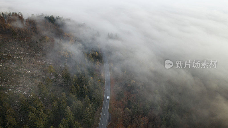 雾在陶努斯山脉，森林采伐地区和公路-鸟瞰图