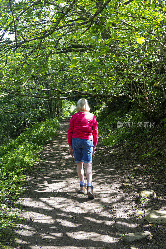 英国德比郡马特洛克附近的春季林地，活跃的年老女性徒步旅行者。