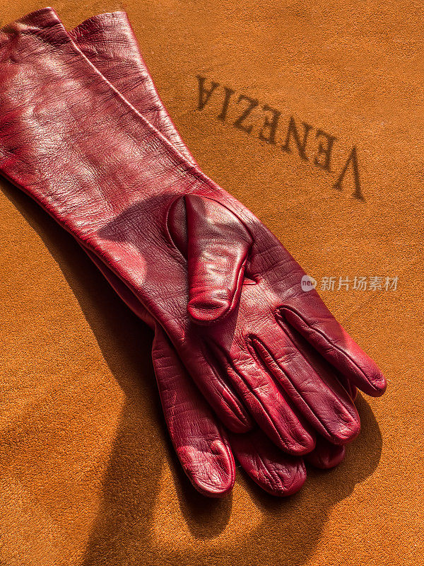 VENEZIA文本镜像在红色皮手套。