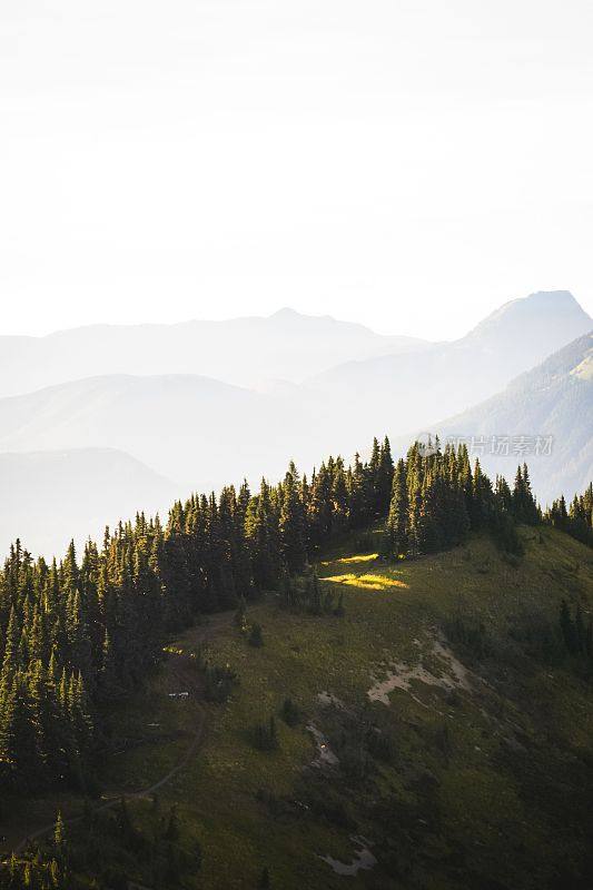 美国北喀斯喀德国家公园被绿色植物覆盖的山丘的垂直拍摄
