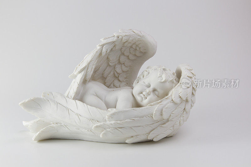 白色小天使睡在白色的大翅膀里