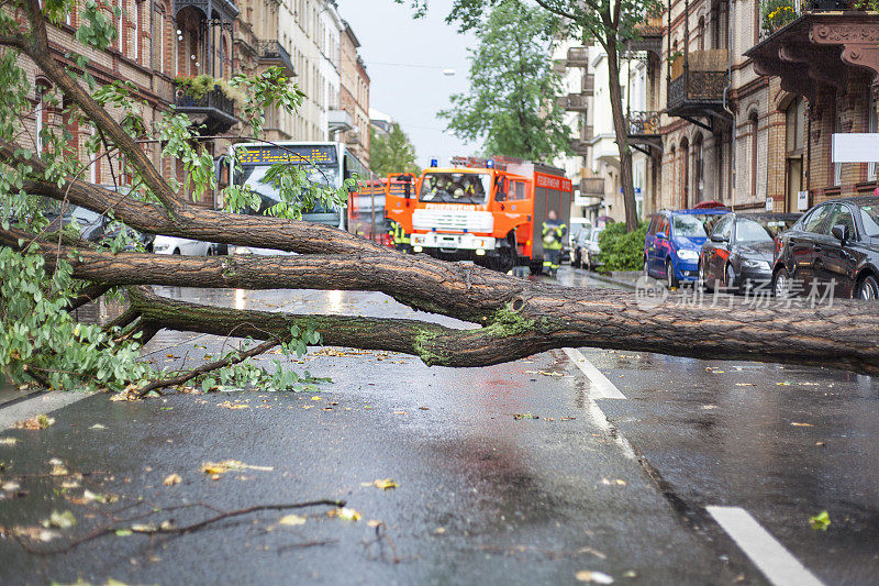 一场大雷雨过后，一棵树挡住了街道。