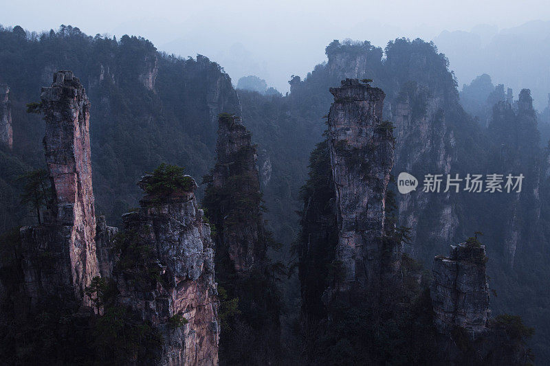 湖南省张家界国家森林公园的天子山