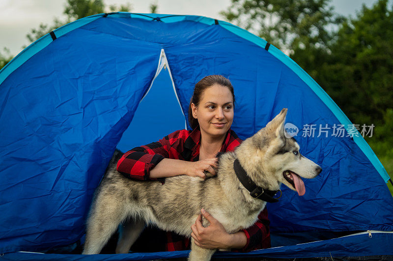 露营，和狗狗玩耍