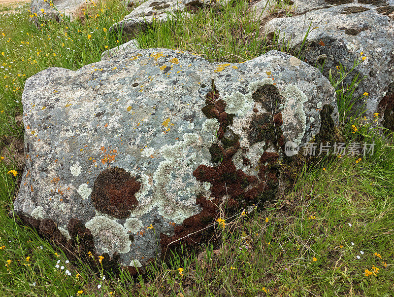 博尔德和地衣在盐溪，三河和卡威亚湖附近的凯斯山娱乐管理区，在通往矿王的路上