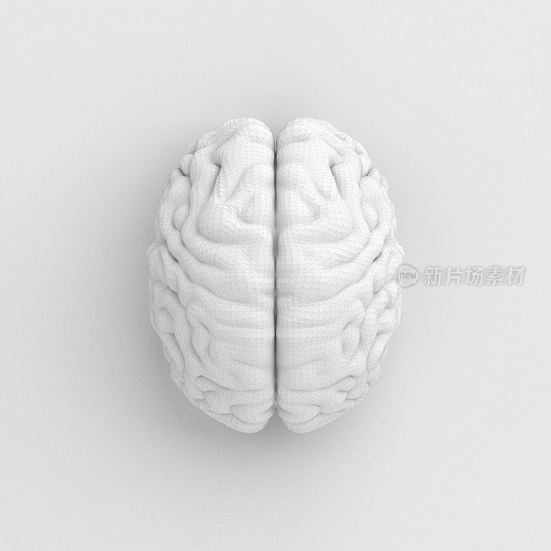 脑-概念-白顶