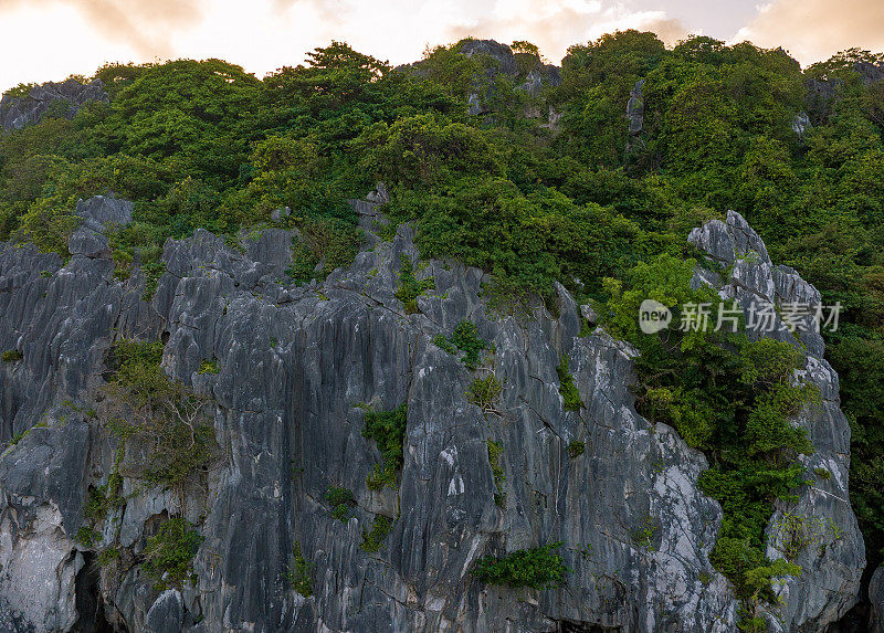 风景石灰岩山脉和杂草丛生的树木，恩赫岛，坚江省