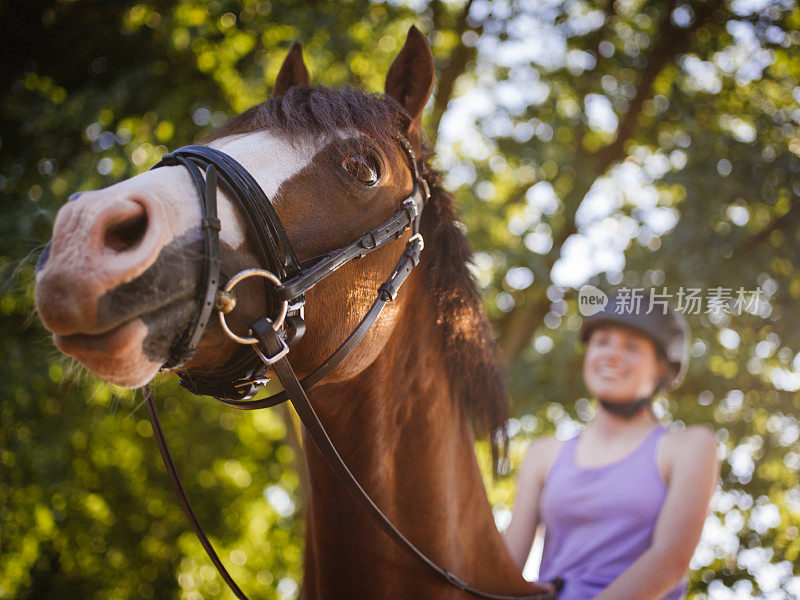一匹健康的马，戴着笼头，骑师是女孩