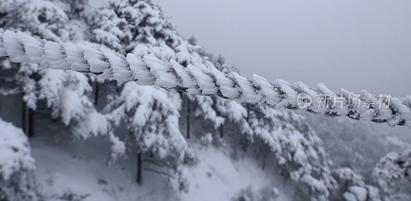 黄山