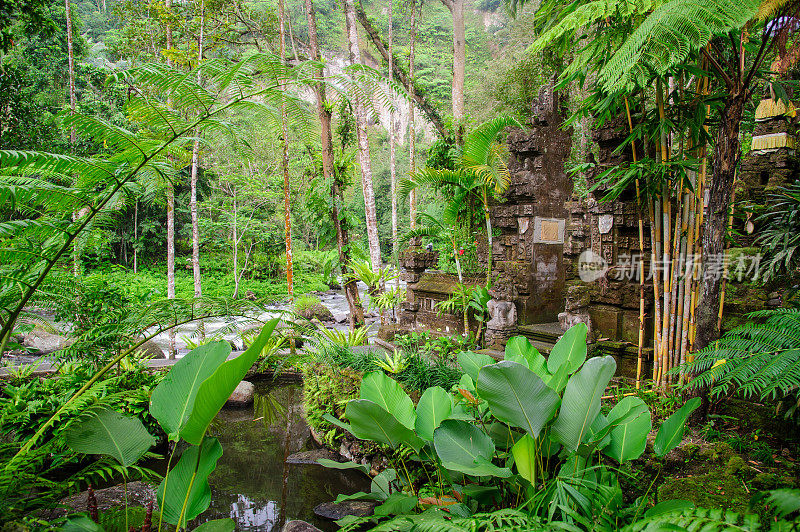 巴厘岛热带雨林中的古庙