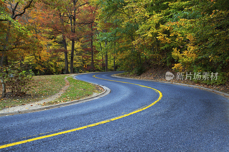 秋天的道路