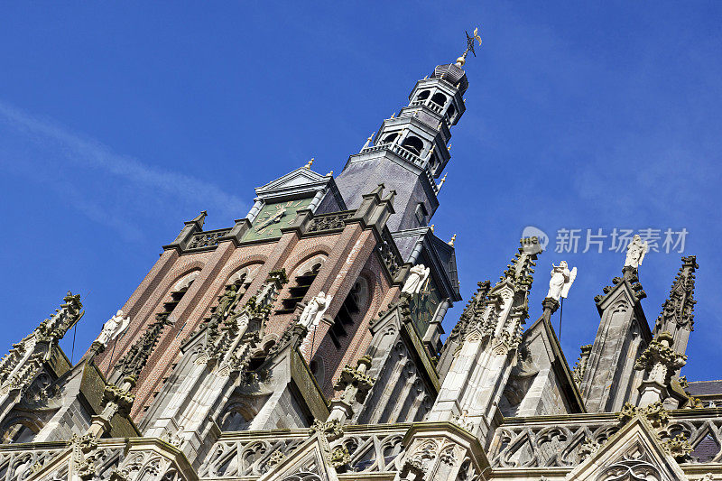 圣简大教堂，Hertogenbosch，荷兰