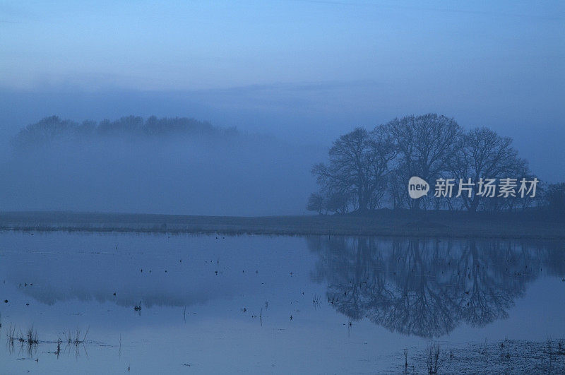 冬天寒冷，周围有树木的小湖