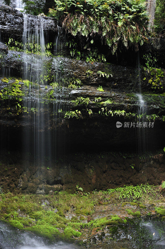 瀑布在热带雨林