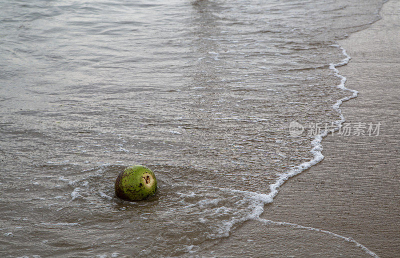 沙滩上椰子，海浪冲刷