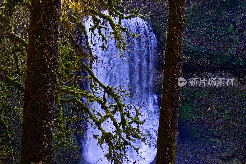 中北部瀑布莫斯