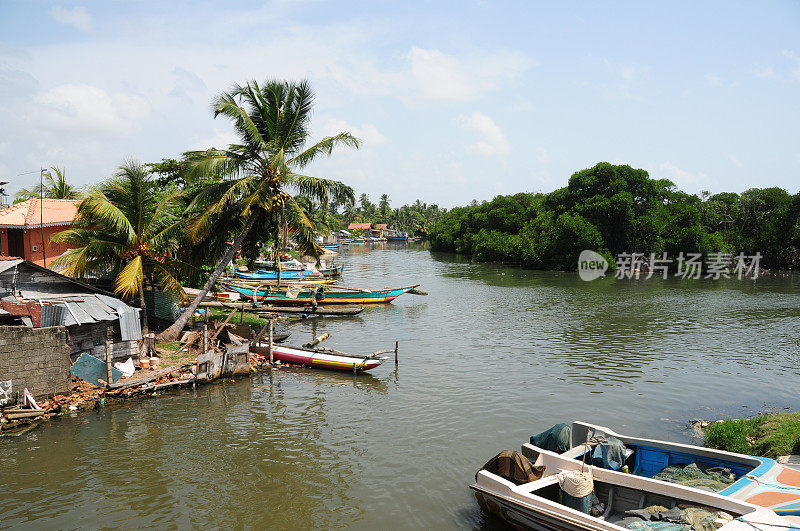 Negombo,斯里兰卡。